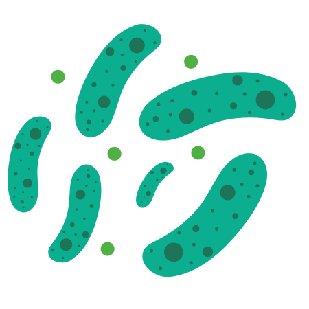 Lactobacillus Rhamnosus - Pro podporu trávení a imunity